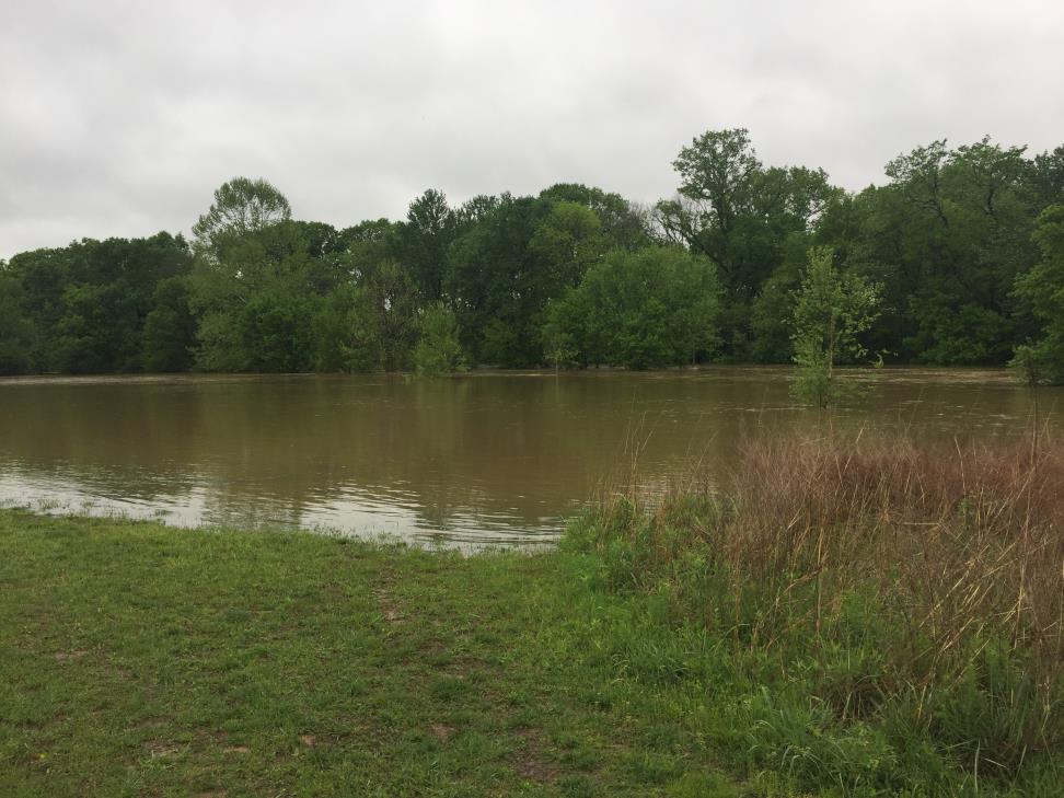 Harpeth River Overflowing April 2017