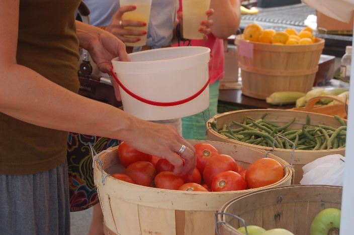 hand in tomatoes