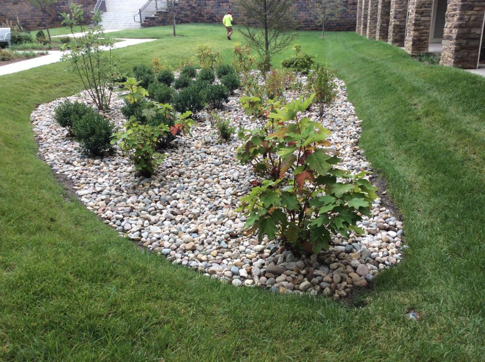 Post Construction Bioretention Area