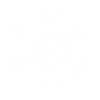 white snowflake