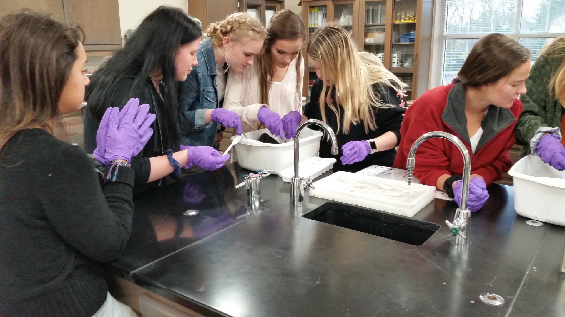 High School students looking at MacroinVertebrates