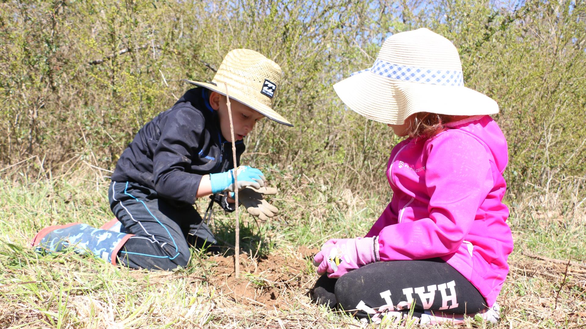 Kids planting a tree seedling for tree day