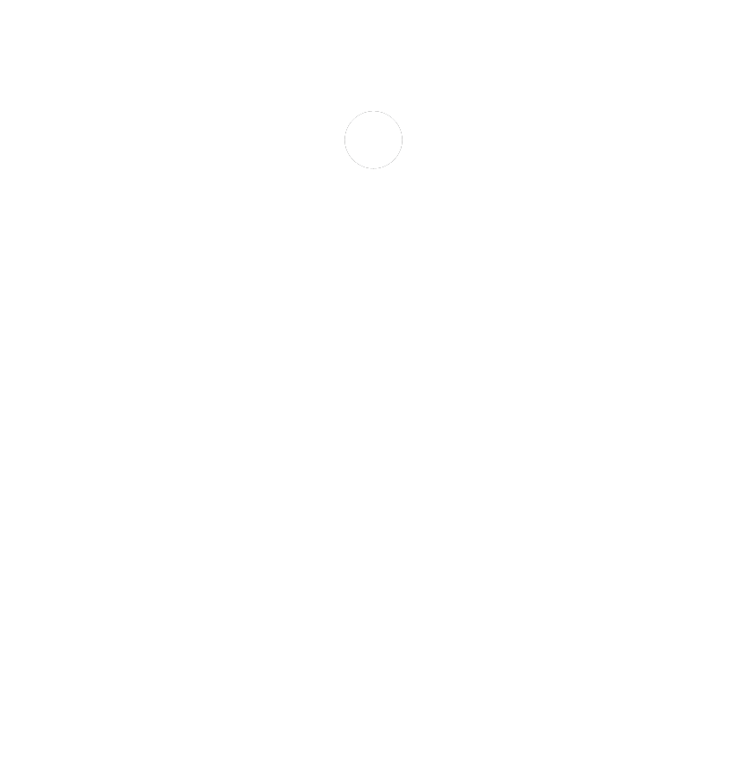 EMS Icon