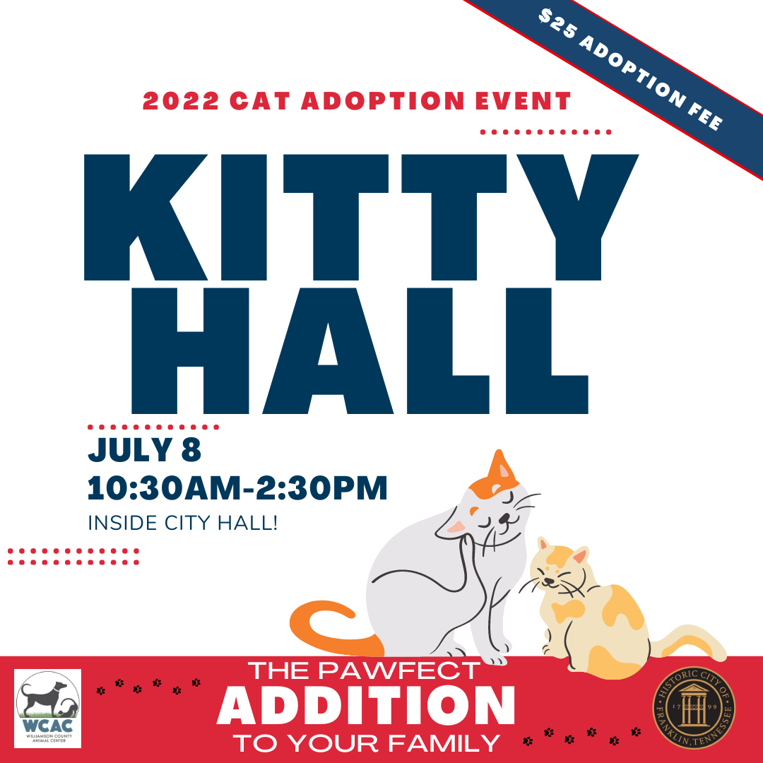 Kitty Hall Poster 2022