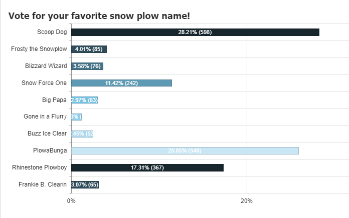 Snowplow Results