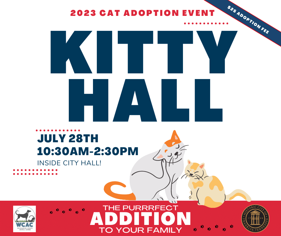 Kitten adoption best sale event near me