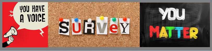 SURVEY BANNER